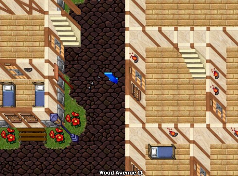 house image
